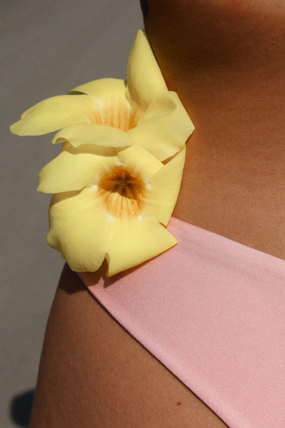 Exquisite Bottom - Blush